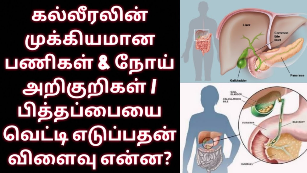 LIVER Function and Importants in Ur body TAMIL ACUPUNCTURE