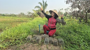 Hai vợ chồng miền bắc thủ hoạch ổ cống nhúm khủng khu cỏ hoàng/t469