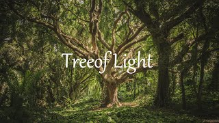 Tree of Light  - Henrik Lindstrom | Cinematic | Classical | Beautiful Relaxing Instrumental
