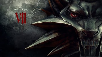 The Witcher Enhanced Edition Director