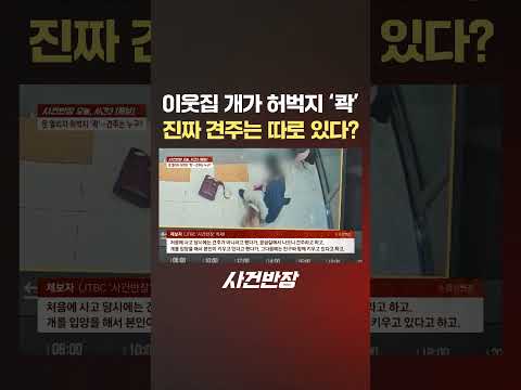 이웃집 개가 허벅지 '콱'.. 진짜 견주는 따로 있다? #제보는 #사건반장 #shorts  #개물림사고 #반려견 #견주
