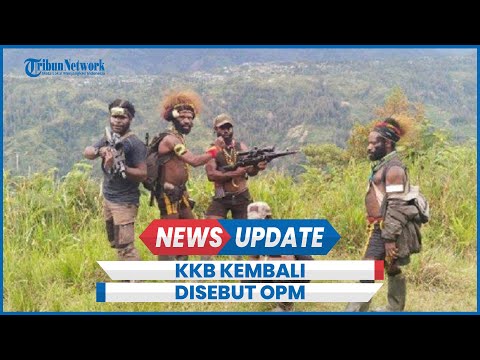 KKB Papua Kembali Disebut OPM, Panglima TNI Ungkap Alasannya