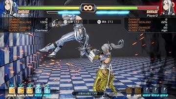 FIGHTING EX LAYER_シラセでとがめる
