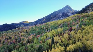 Autumn colors on the Alpine Loop, UT!