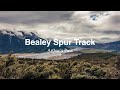 Bealey Spur Track Arthur S Pass National Park 