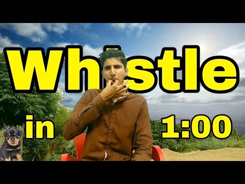 How To Whistle Like A Pro | Whistle with one hand | Skiller Akash |