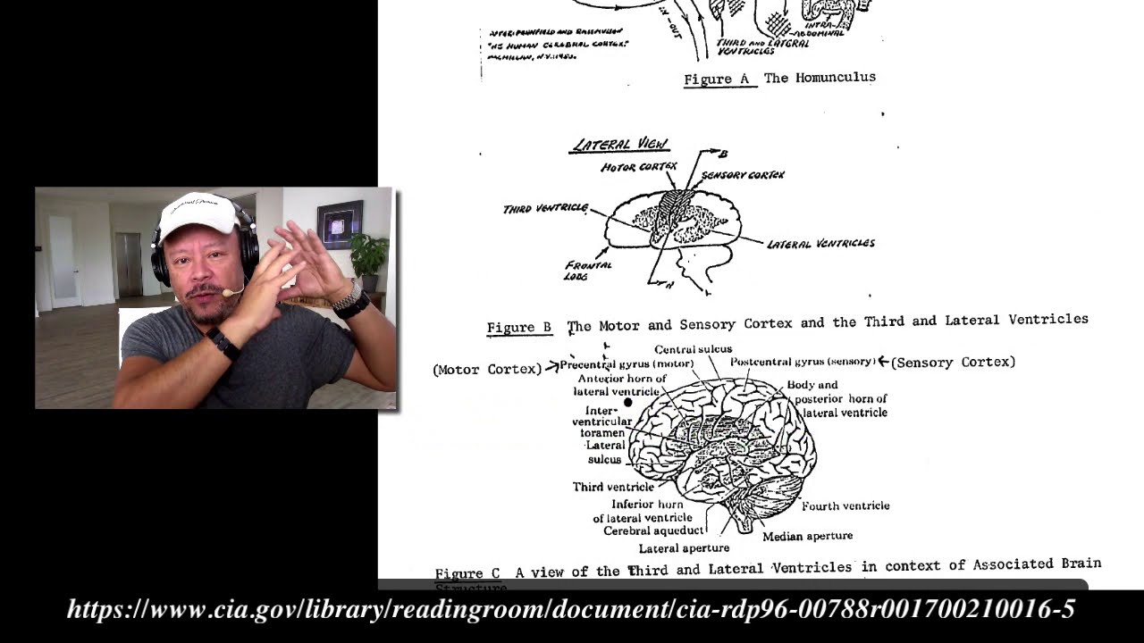 CIA Analysis And Assessment Of Gateway Process Declassified Part Two YouTube