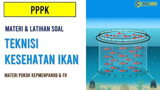Latihan Soal PPPK Teknisi Kesehatan Ikan 2026 Teknis Manajerial Sosio dan wawancara Sesuai FR