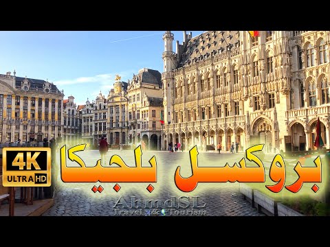 فيديو: في أي بلد تقع بروكسل