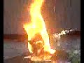 Burn welpie BURN!