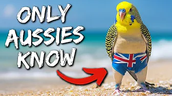 28+ Aussie Slang Words Foreigners DON'T UNDERSTAND!