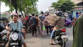 SURABAYA'S PETEKAN BIRD MARKET IS NEVER QUIET.