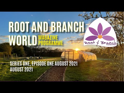 First Magazine Programme Launched