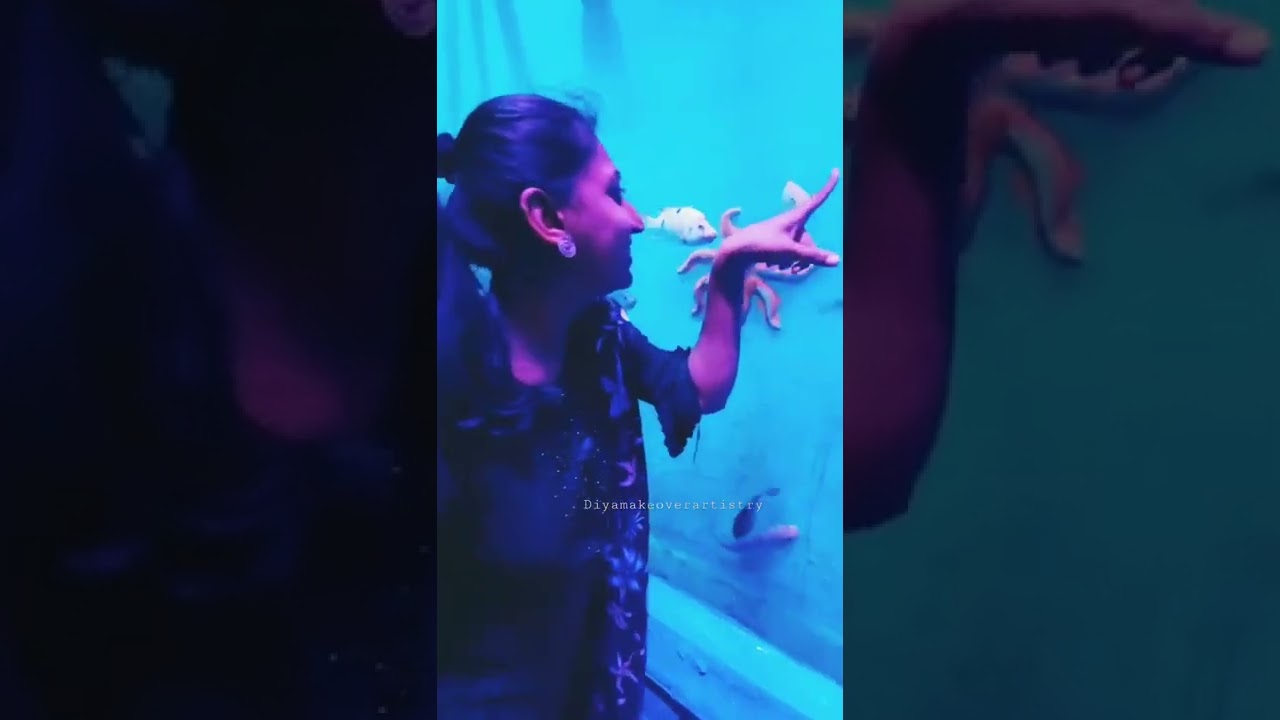 Underwater fish tunnel in Madurai