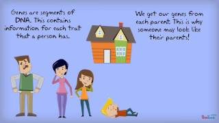 Famous Segment 2/module 5 review Profile