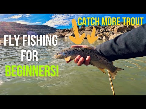Trout Fishing Tips and Techniques
