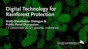 Digital Technology for Rainforest Protection | English Version