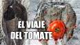 La Fascinante Historia de la Salsa de Tomate ile ilgili video