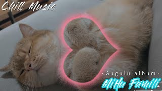 [Chillout with kittens] Little brother album ｜Chill Music, Background, Work, Sleep by Mihu family Take a break 117 views 2 months ago 12 minutes, 57 seconds