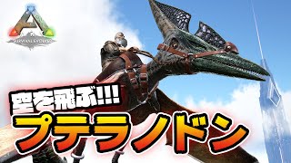 プテラノドンをテイムして空を飛ぶ Ark Youtube