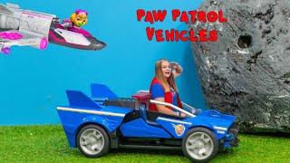 assistant hunts for paw patrol mighty pups movie character skye chase