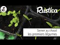 Semer au chaud les premiers légumes