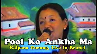 Phool Ko Aanka Ma Phulai Sansara Kalpana Gurung, Live Performance In Brunei फल क आखम