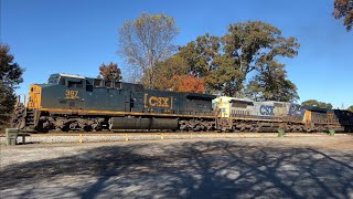 A CSX Coal Train, 154, a Local and Other Assorted Trains