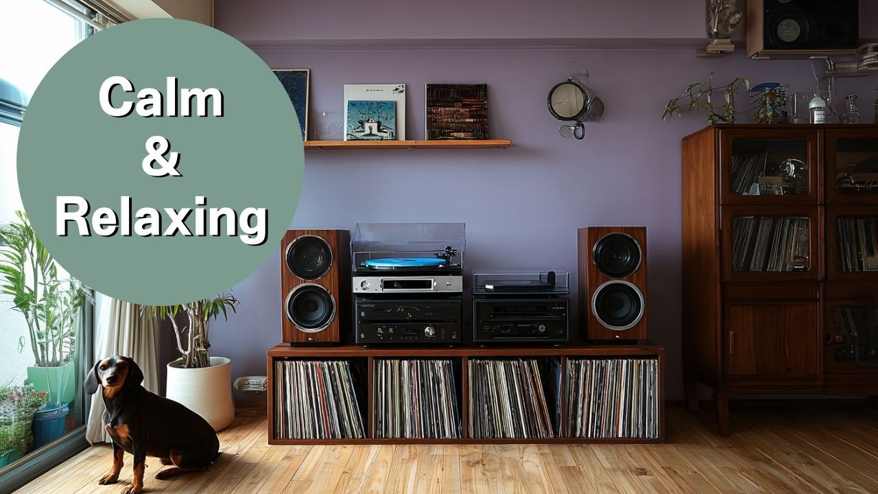【Calm】Quiet Healing Atmosphere｜Dog｜Lofi Chill BGM｜1Hour｜作業用・休憩用