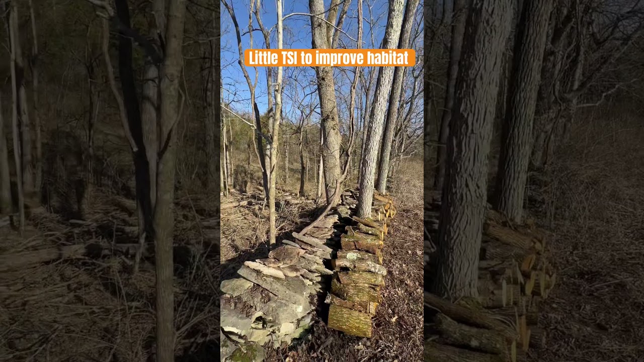 TSI for this little section 