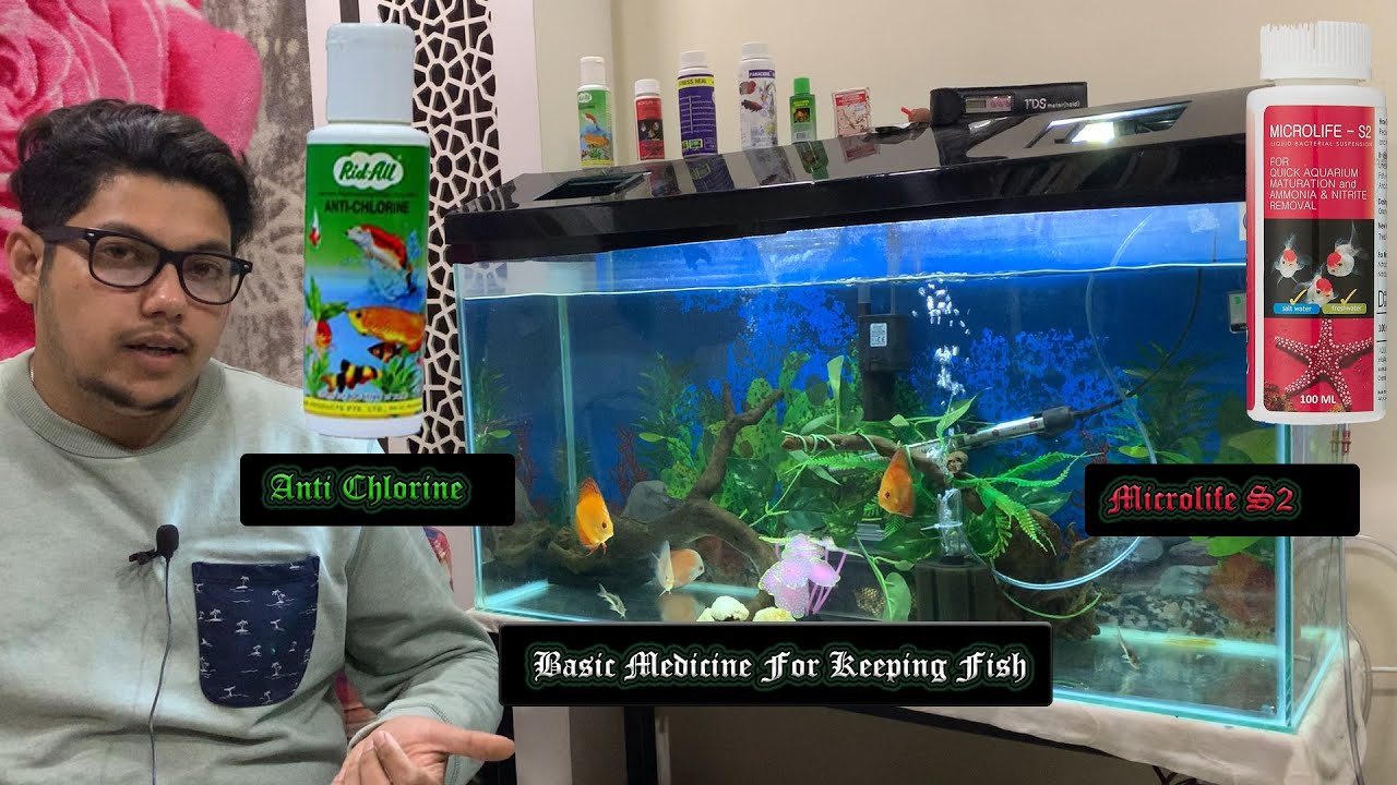 Medicine to Keep Fish How to keep Fish Healthy Anti chlorine use