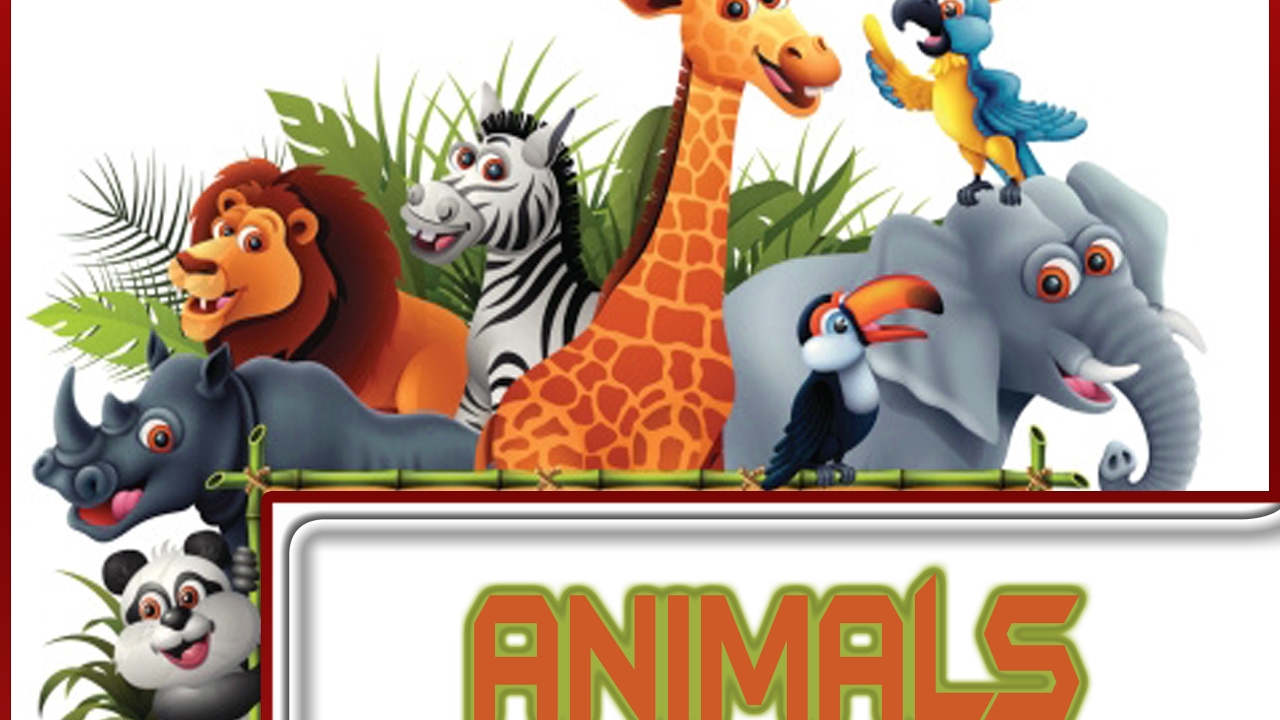 Name Of Animal Sounds English Vocabulary kids Name Of Animal Sounds English Vocabulary kids