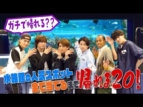 Aぇ! group【水族館で帰れま20!!】末澤誠也…念願の企画 笑笑