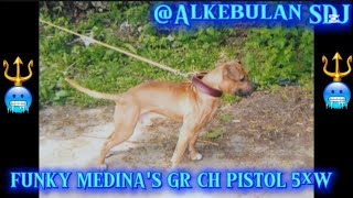Funky Medinas Gr Ch Pistol 5Xw