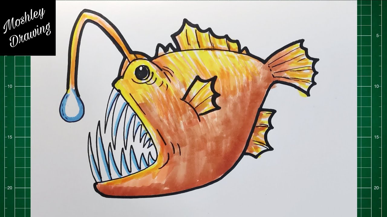 How to Draw an Anglerfish step by step - YouTube