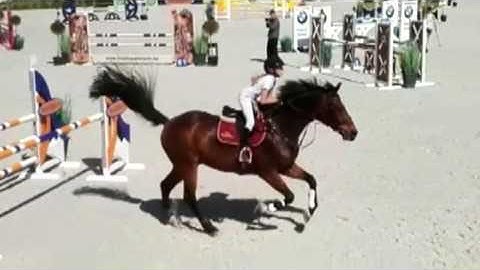 Va-Vite, Lauranne Spits, BK Lier 1.10m, 27-05-2017