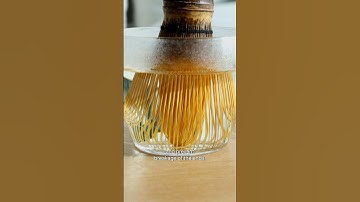 How To…Rocky’s Matcha | Blooming Your Chasen (Matcha Whisk)