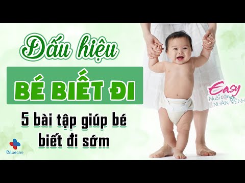 Video: Mọi điều cần biết về Đi bộ đường dài với Trẻ em