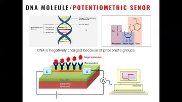 Lec 1: Introduction to Biosensors