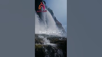 "ءأنتم أشد خلقاً" للشيخ ياسر الدوسري | القرآن الكريم