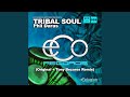 Tribal Soul (Original Mix)