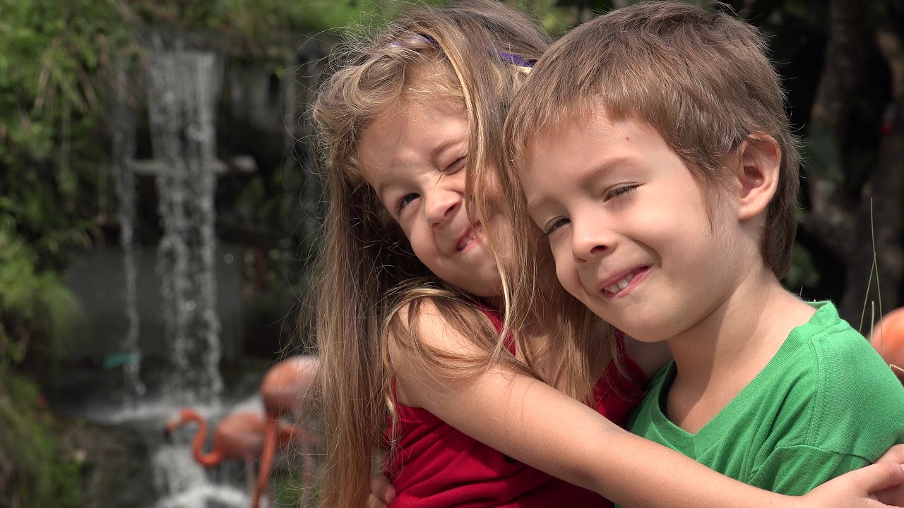 adorable toddler siblings hugging youtube