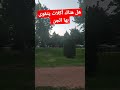 هل هناك أكلات يتقوى بها الجن ويجب على المصاب تركها الاجابة الشافية مع الغريب الموصلي