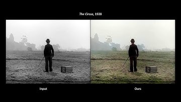CVPR2019 Fully Automatic Video Colorization with Self-Regularization and Diversity