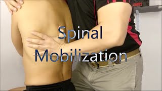 Mobilization for Spine screenshot 2