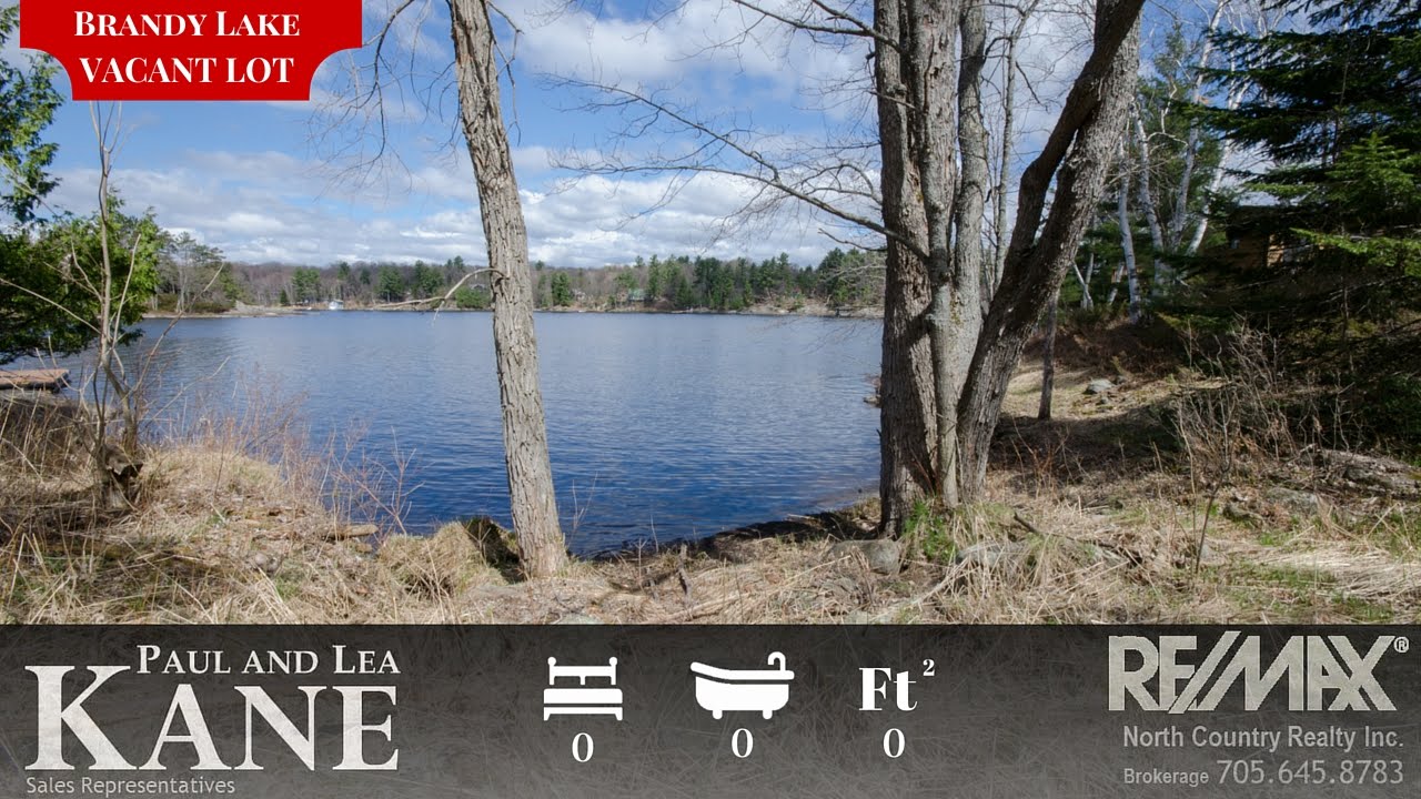 Sold Brandy Crest Rd Brandy Lake Port Carling Muskoka Www