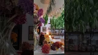 Today in my garden room  #dreamy #aesthetic #gardenlife #dryingherbs #cottagecore #witchy #herbal