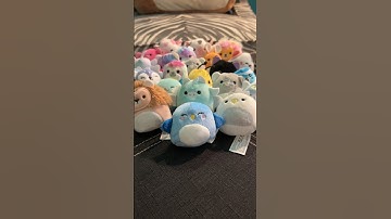Squishmallow Collector Check pt 2  #shorts #squishmallows #squishmallowcheck #collection