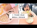 Easy and Fast Meal Ideas For 1 Year Old Toddler!