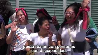 Día Nacional de las Personas con Discapacidad.